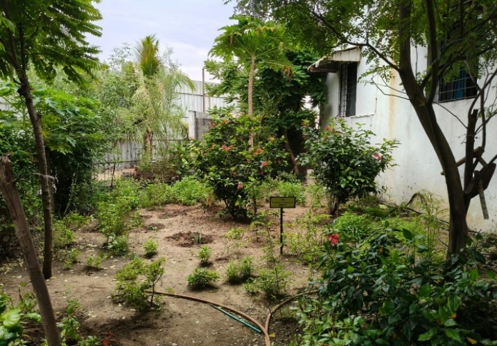 Herbal Garden View 1