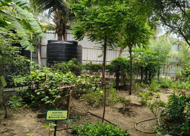 Herbal Garden View 2