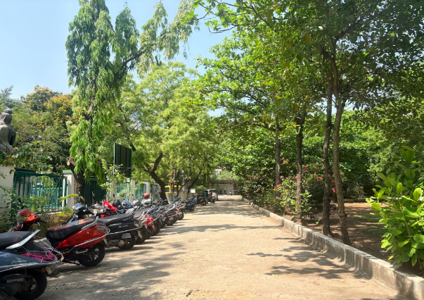 Lush Green Parking Area