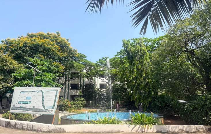 Fountain Area