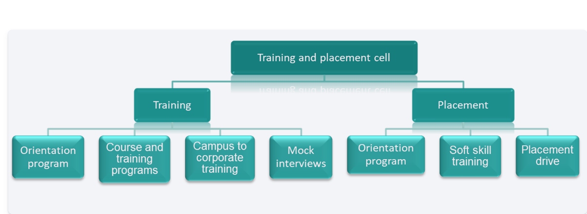 Training and Placement Cell Structure